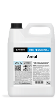 AMOL (АМОЛ) 5 л, Средство для чистки кухонных плит и пароконвектоматов. PRO-BRITE