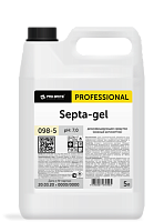 Septa-gel 5 л. Дезинфицирующее средство (кожный антисептик). PRO-BRITE